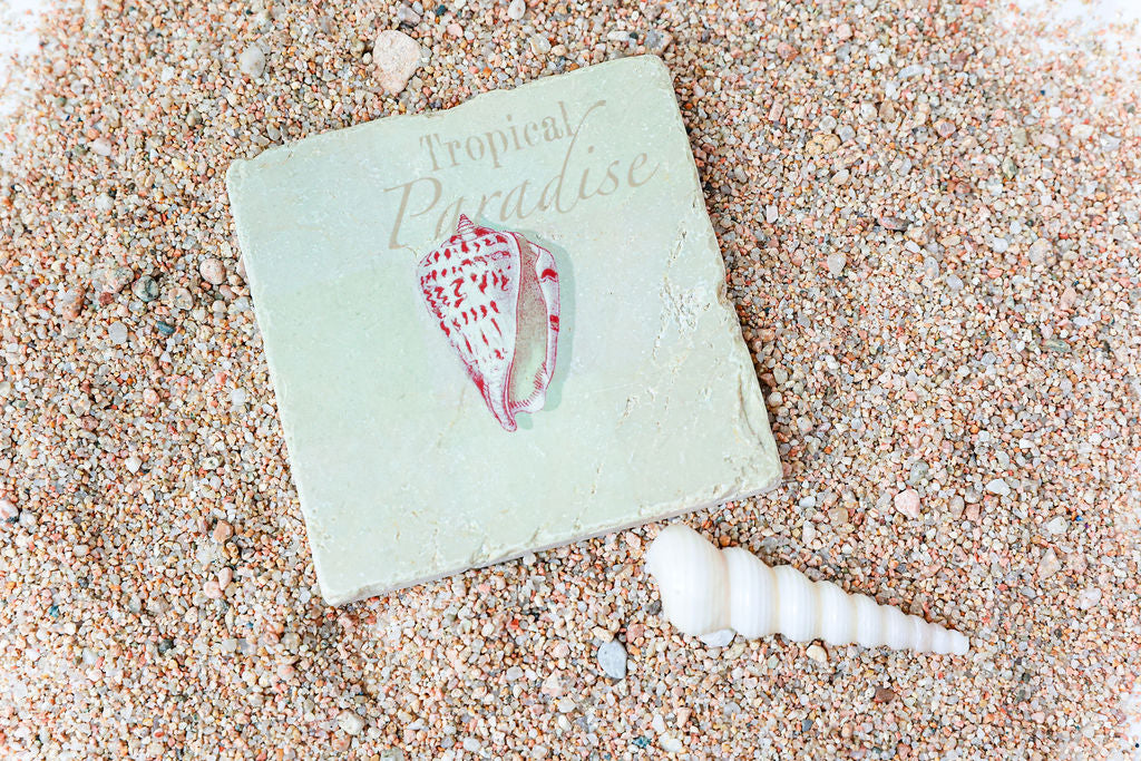Beach Life Coaster Set - Shooting Starz Shopette